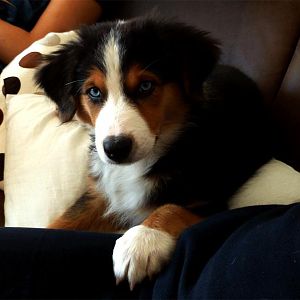 Luniii 12 Wochen alt