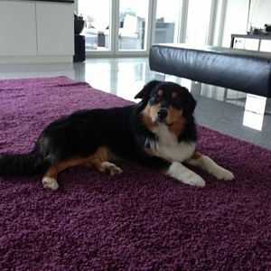 Die kleine Leni-Maus