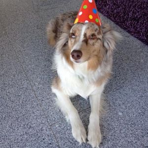 Coppers Geburtstagsparty am 01.04. ... Aprilscherz halt :-)