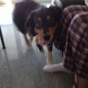 Meiiiiin Joghurtbecher...