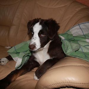 Die Decke ist doch zum Draufliegen gedacht...