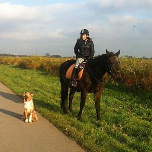 nen kleiner ausritt :)