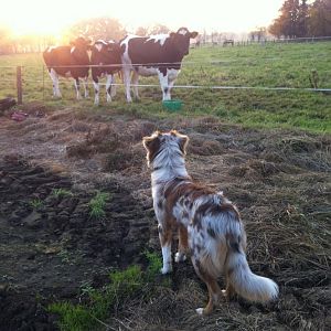 was sind das denn fuer welche ??