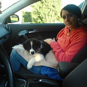 Hallo, wir sind jetzt zu Hause!!!