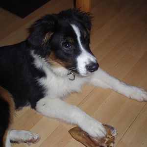 Hallo, wer kommt denn da?