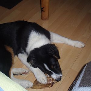 lecker so ein Schweinsohrli!