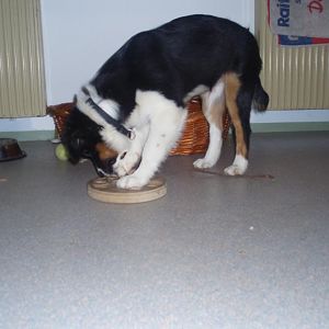 hab ein Leckerli gefunden! :-D