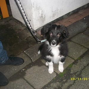 MD002467http://www.aussie.de/forum/album.php?albumid=467&attachmentid=12417