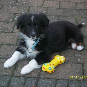 MD002418http://www.aussie.de/forum/album.php?albumid=467&attachmentid=12418