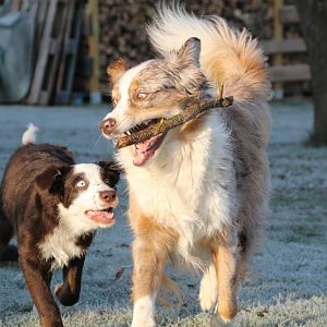 15.11.2012 Jenna und Luke 088