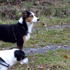 draußen ist alles interessant