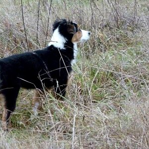 was ist das da hinten?