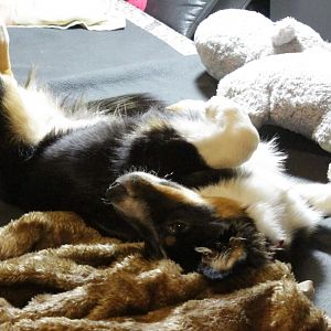 Stör mich nicht, ich Chille!!!