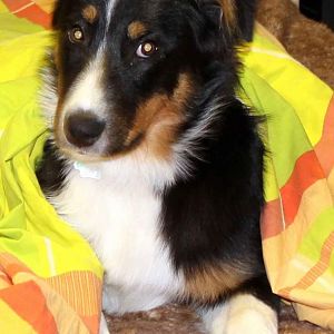 Will jetzt Schläfchen machen.