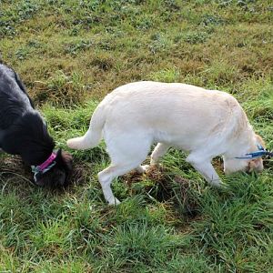 Wir machen alles gemeinsam !!!