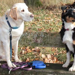 Sharie mit Freund Pinot