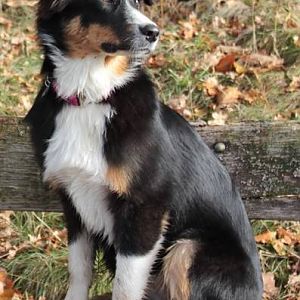 Sharie auf Bank solo2