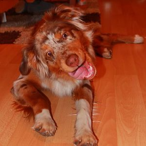 naa wer kanns auch :D ?