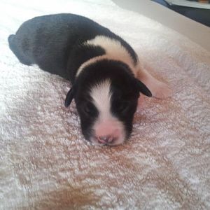 399587 452633688114742 1431758147 n