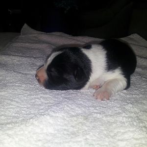 556569 452633511448093 1978039538 n