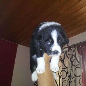 227994 461457097232401 1721108656 n