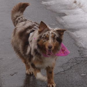 DSC09979