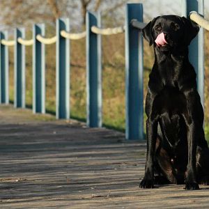 579061 505499159468464 1413741293 n