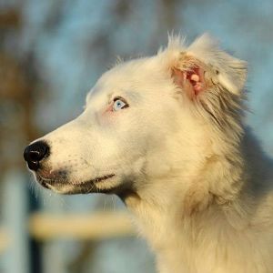 541094 505499049468475 1603219943 n