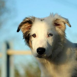 253092 505499069468473 1996230198 n