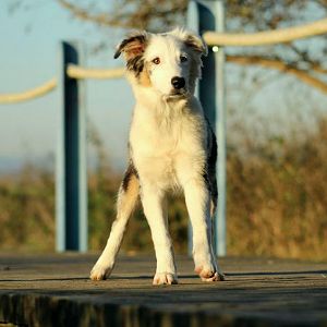 21436 505499006135146 480545455 n