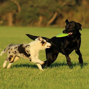 249273 505498622801851 1500400126 n