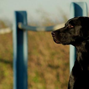 12860 505499206135126 1226848557 n