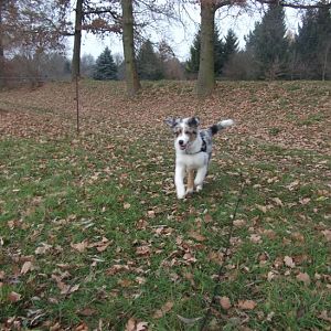 ...hilfe..da sind Monster XD