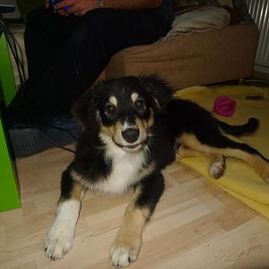 zu hause sehr entspannt