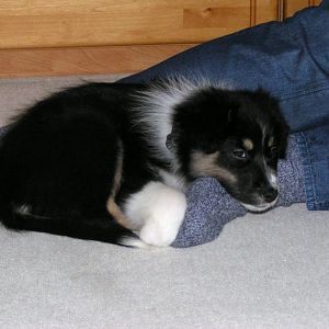 05 Flicka mit Sandra