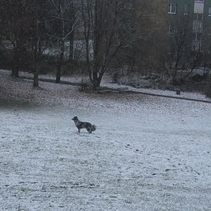 weit weg aber schön stehend