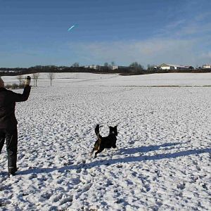 Frisbee spielen im Schnee