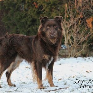 67801 10152312118205063 3840038 n