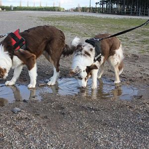 wir trinken zusammen....