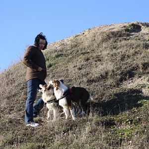 hoch hinaus mit Lieschen