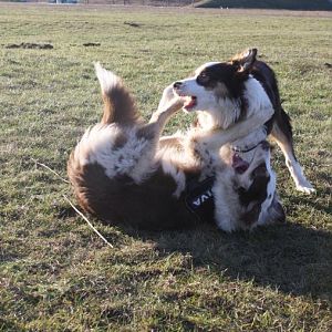 wir spielen zusammen