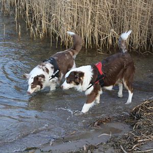 wir gehen zusammen ins Wasser...