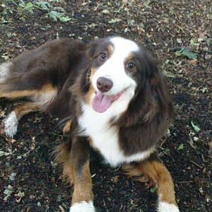 Das war unser erster Spaziergang zusammen