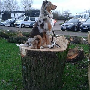 248598 404621306293182 1011897728 n