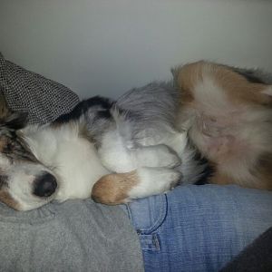 IMG 20130113 WA0001