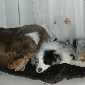DSCN2875