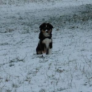 Zelda <3 mit 11 Wochen