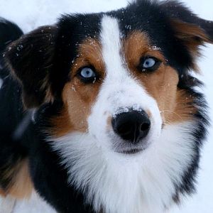 Schon fast 6 Monate alt :)