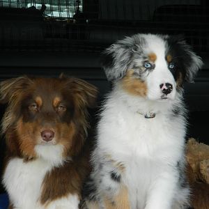 Wann gehts denn endlich los.. Jetzt macht der schon wieder bilder..:o)