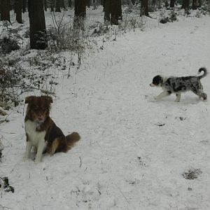 Stella muss sitzen bleiben...